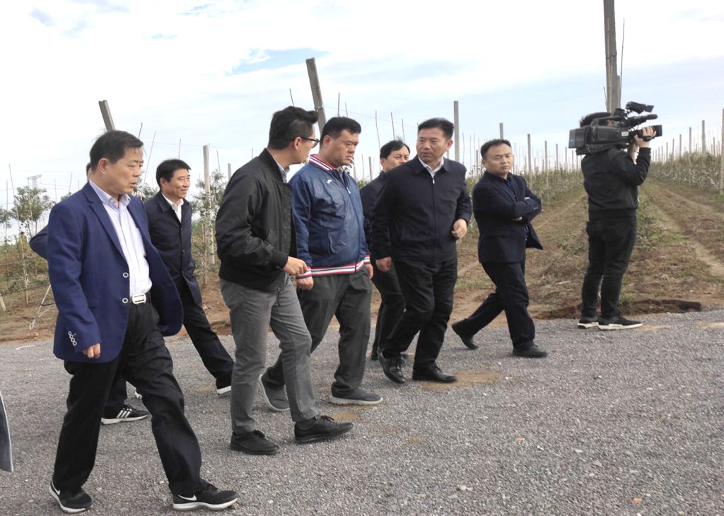 1570536739909033.jpeg 1.jpg