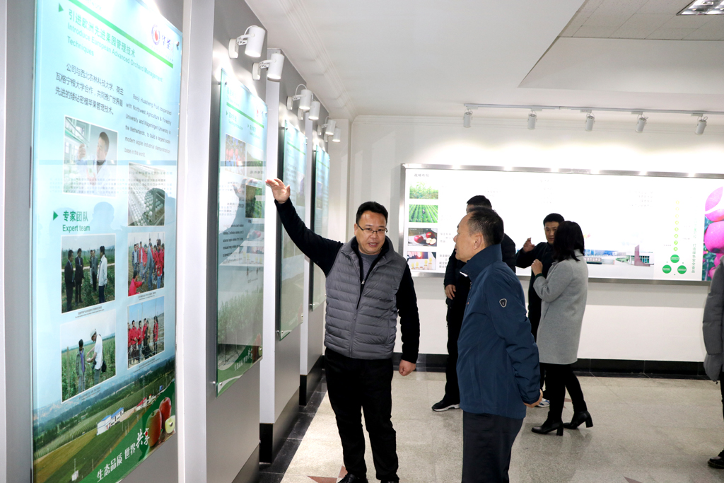 1575420903391915.jpeg 1.JPG