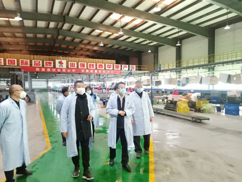 1582440431541227.jpeg 4.jpg