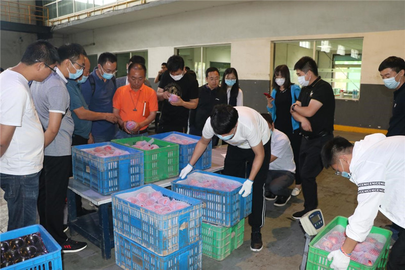 1591757367796648.jpeg 2.jpg