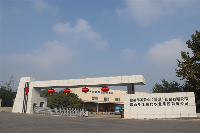 1602127052489992.jpeg 1.jpg