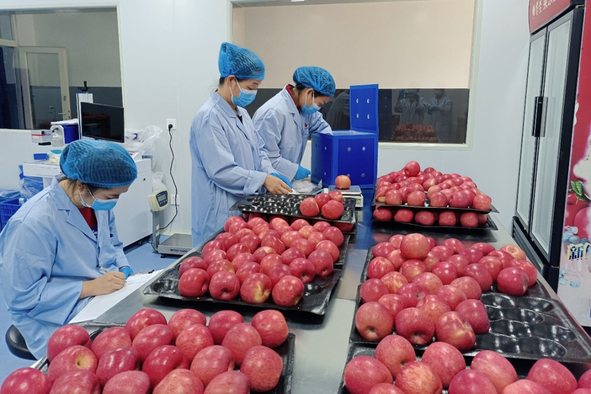 1654602791476645.jpeg 图片3.jpg