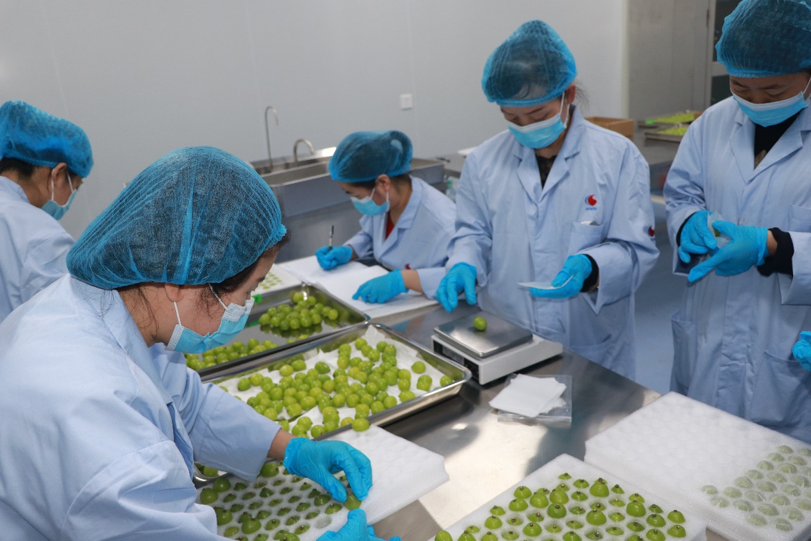 1654602813556282.jpeg 图片2.jpg