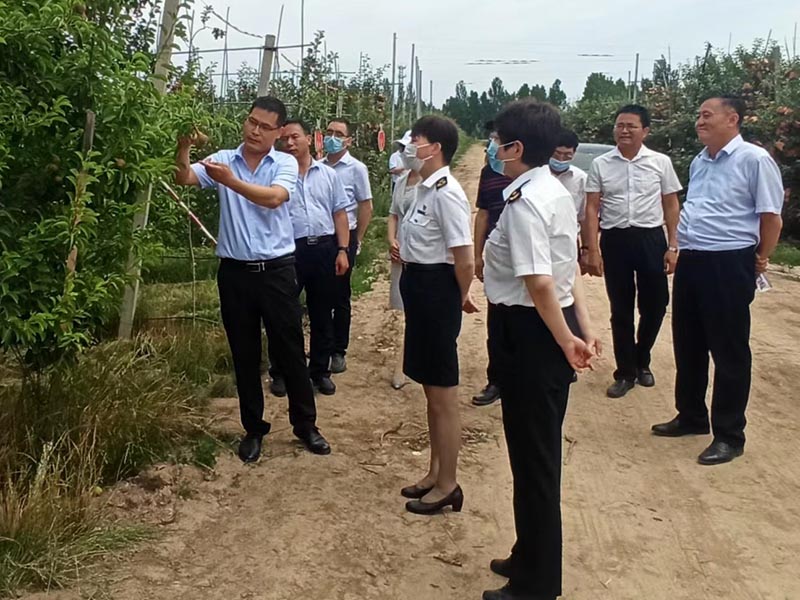 1654866326418236.jpeg 未标题-2.jpg