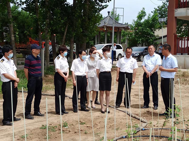 1654866343842696.jpeg 未标题-3.jpg