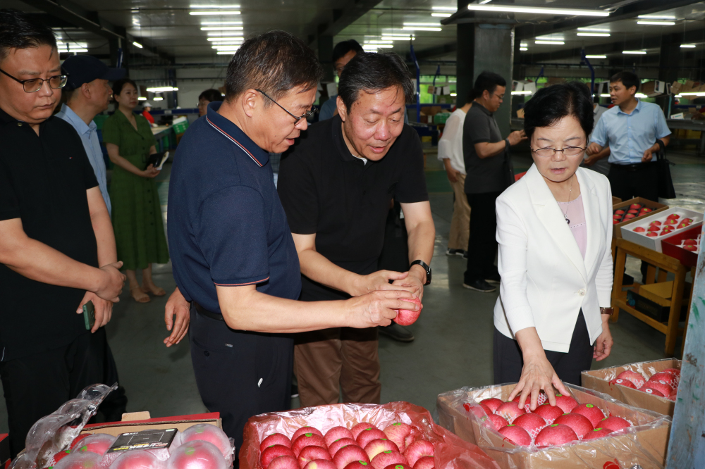 1657717345335556.jpeg image001.jpg