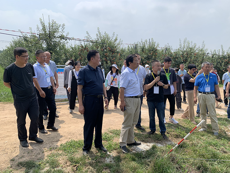 1659412480628746.jpeg 2.jpg