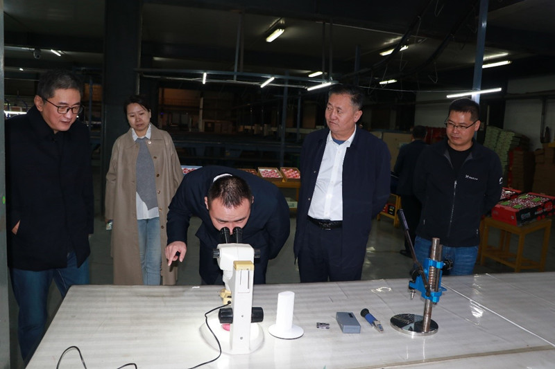 1665590836288216.jpeg 02.jpg