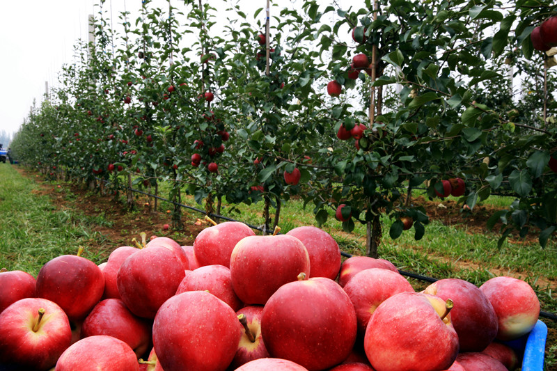 1668221017382283.jpeg 2.jpg