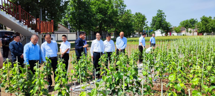 1685493995184204.png 图片2.png