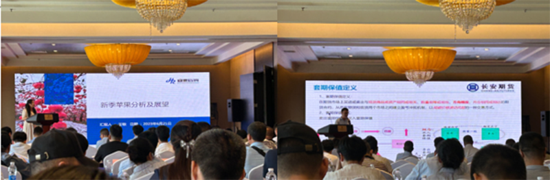 1687662880245774.png 3.png