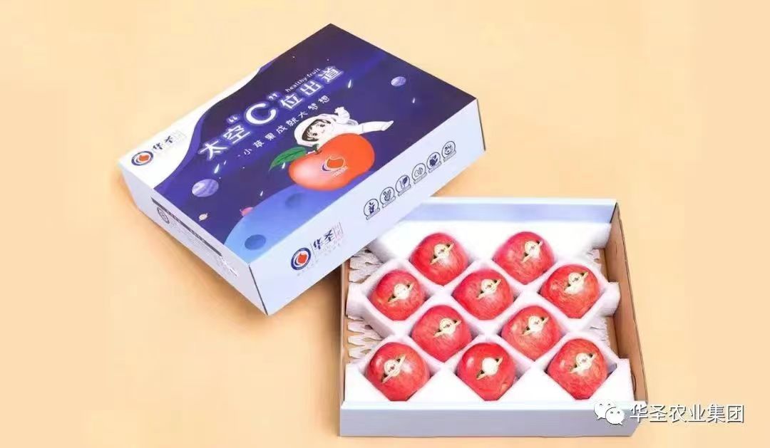 1714052964542941.jpeg 4.jpg