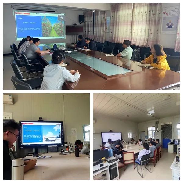 1718328275676489.jpeg 1718328275676489.jpeg