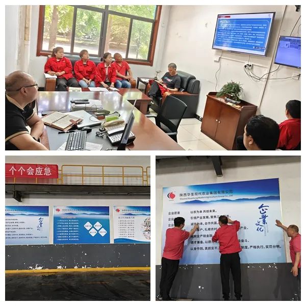 1718328457159157.jpeg 1718328457159157.jpeg