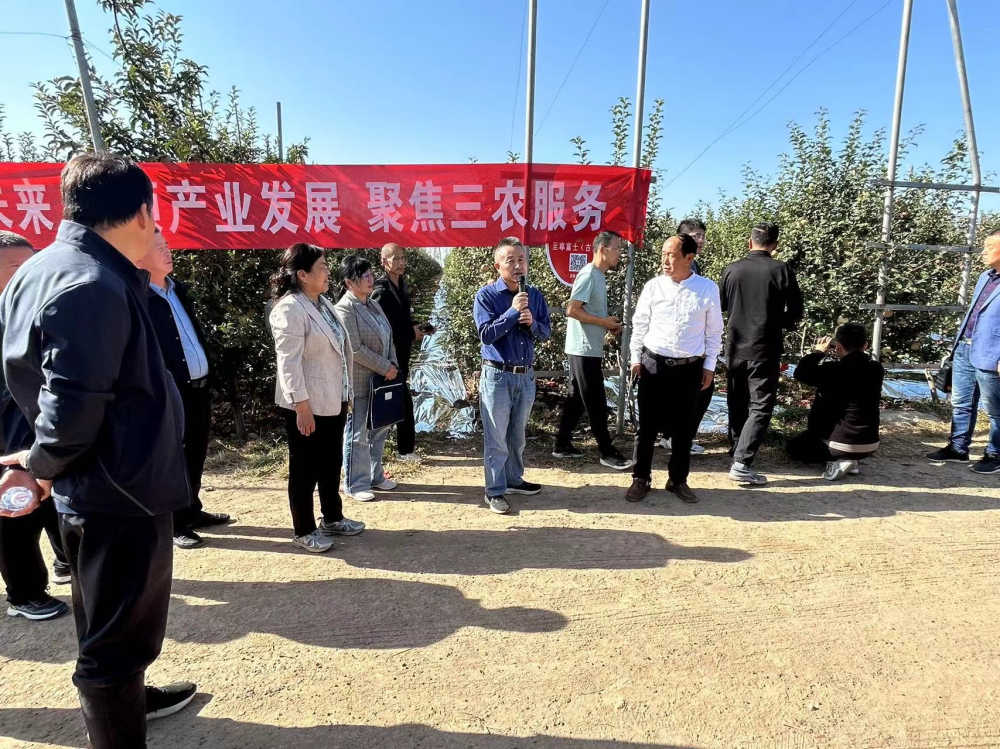 1728640018300368.jpeg 1.jpg