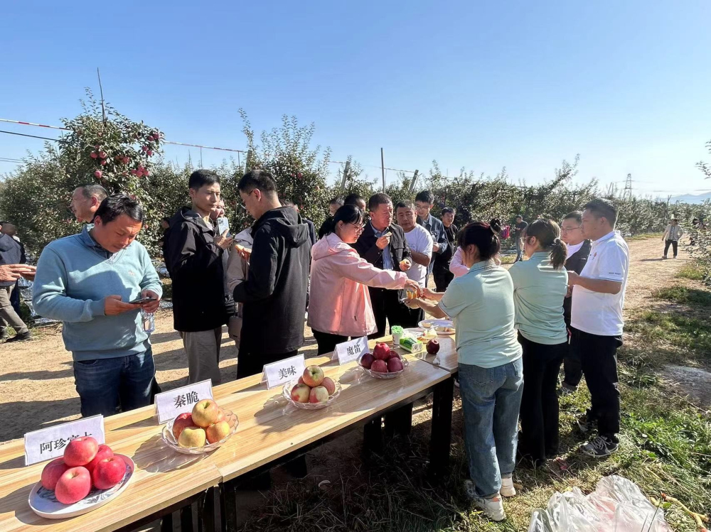 1728640045256151.jpeg 2.jpg