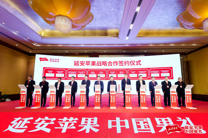 1733224441782227.jpeg 3.jpg