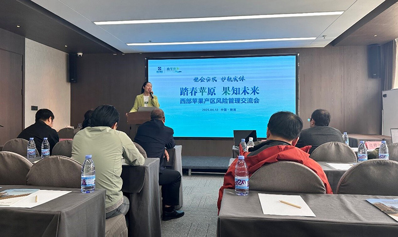 1744784742886724.jpeg 1.jpg