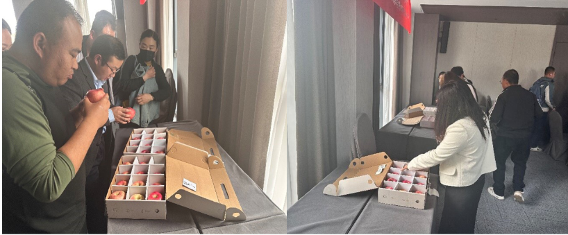 1744784931827481.png 4.png