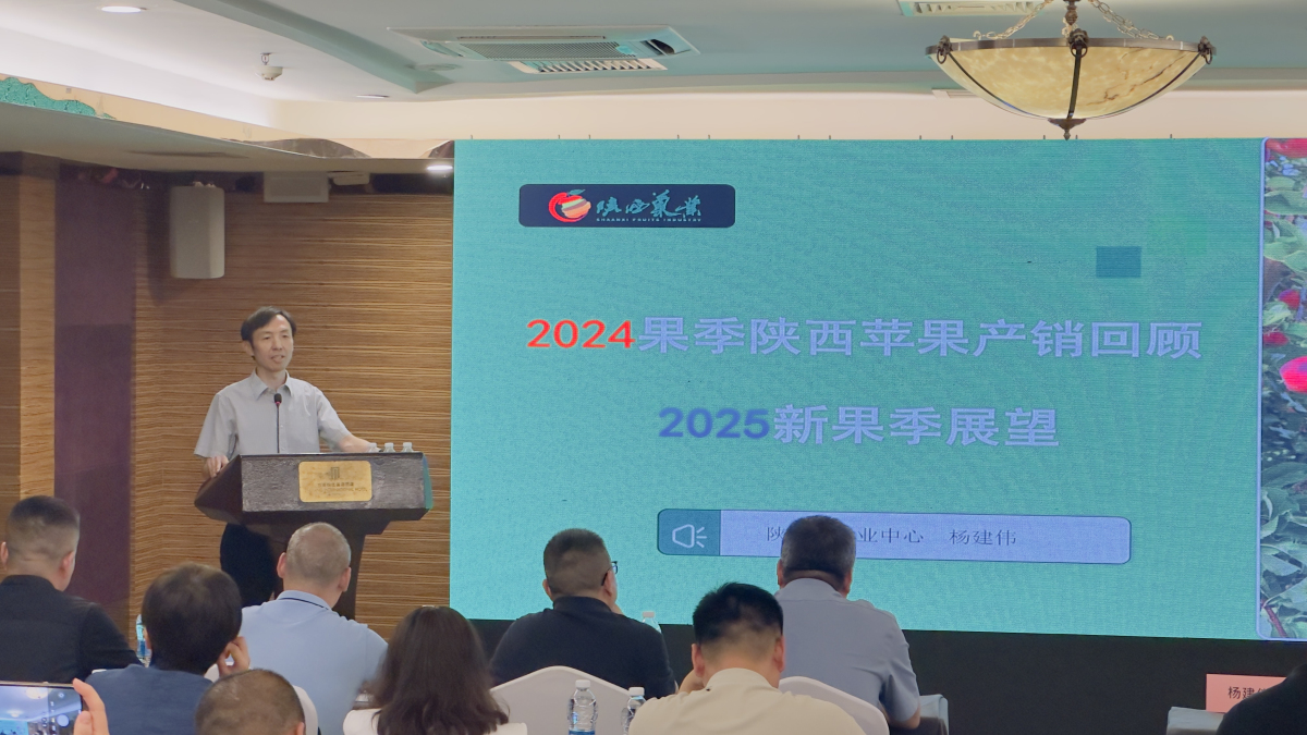 1749708591984193.jpeg 1.jpg